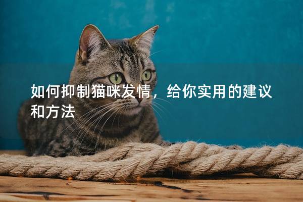 如何抑制猫咪发情，给你实用的建议和方法