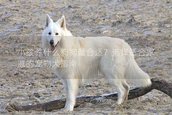 小孩养什么狗狗最合适？选择适合家庭的宠物犬指南