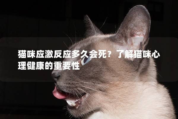 猫咪应激反应多久会死？了解猫咪心理健康的重要性