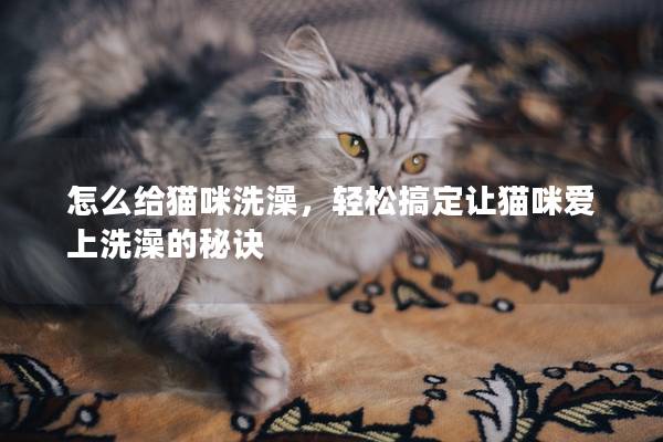 怎么给猫咪洗澡，轻松搞定让猫咪爱上洗澡的秘诀