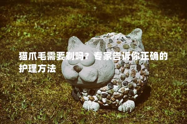 猫爪毛需要剃吗？专家告诉你正确的护理方法