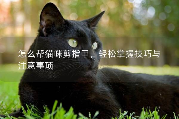 怎么帮猫咪剪指甲，轻松掌握技巧与注意事项