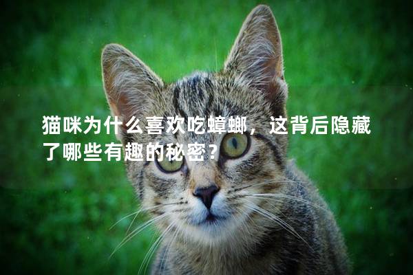 猫咪为什么喜欢吃蟑螂，这背后隐藏了哪些有趣的秘密？