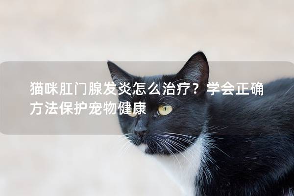 猫咪肛门腺发炎怎么治疗？学会正确方法保护宠物健康