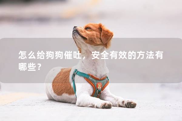 怎么给狗狗催吐，安全有效的方法有哪些？