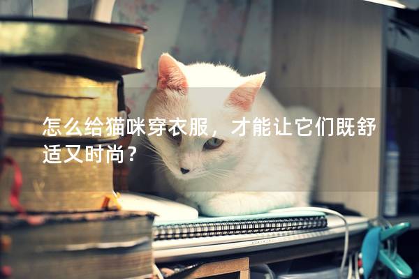 怎么给猫咪穿衣服，才能让它们既舒适又时尚？