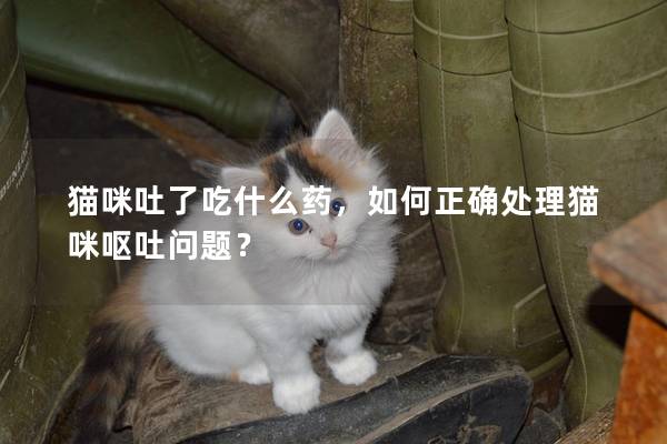 猫咪吐了吃什么药，如何正确处理猫咪呕吐问题？