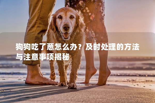 狗狗吃了葱怎么办？及时处理的方法与注意事项揭秘