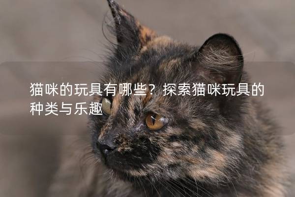 猫咪的玩具有哪些？探索猫咪玩具的种类与乐趣