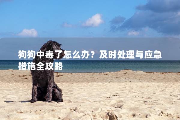 狗狗中毒了怎么办？及时处理与应急措施全攻略