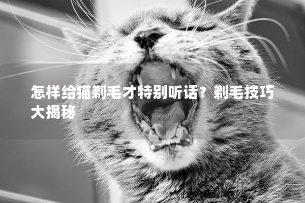 怎样给猫剃毛才特别听话？剃毛技巧大揭秘