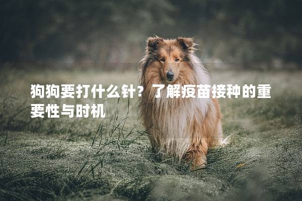 狗狗要打什么针？了解疫苗接种的重要性与时机