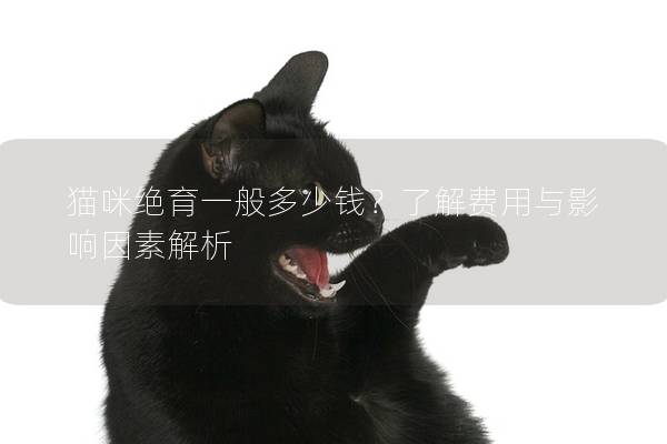 猫咪绝育一般多少钱？了解费用与影响因素解析