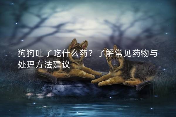 狗狗吐了吃什么药？了解常见药物与处理方法建议