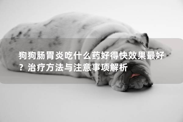 狗狗肠胃炎吃什么药好得快效果最好？治疗方法与注意事项解析