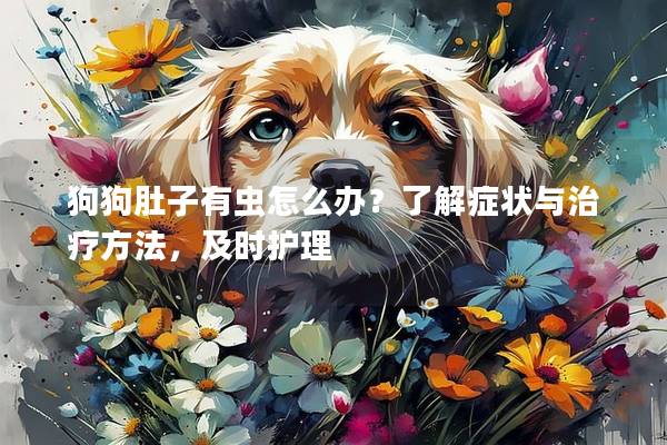 狗狗肚子有虫怎么办？了解症状与治疗方法，及时护理