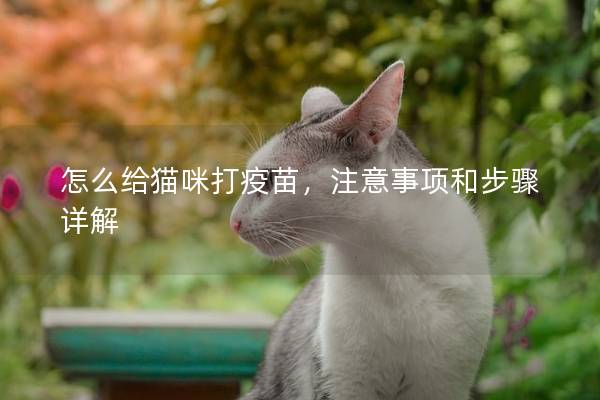 怎么给猫咪打疫苗，注意事项和步骤详解