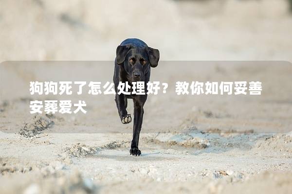 狗狗死了怎么处理好？教你如何妥善安葬爱犬