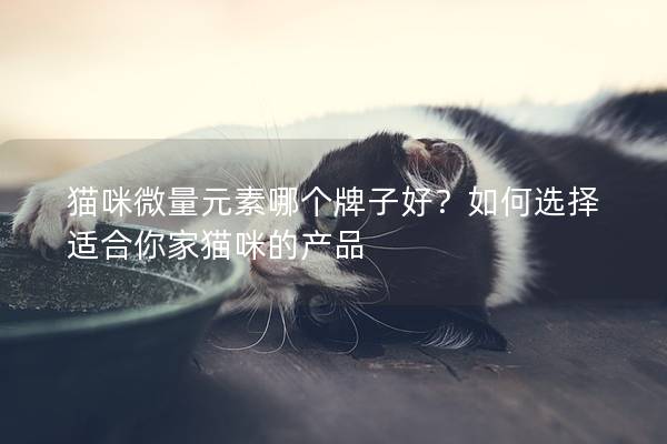 猫咪微量元素哪个牌子好？如何选择适合你家猫咪的产品