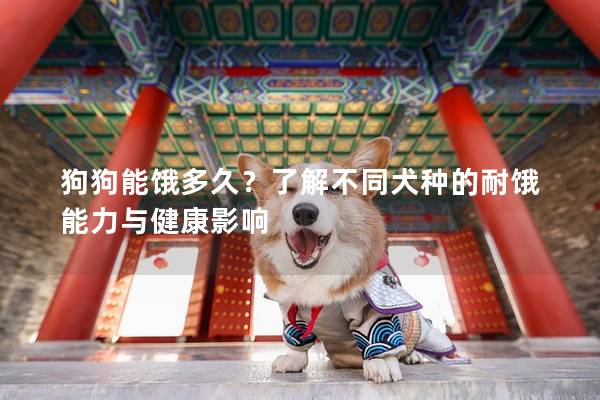 狗狗能饿多久？了解不同犬种的耐饿能力与健康影响