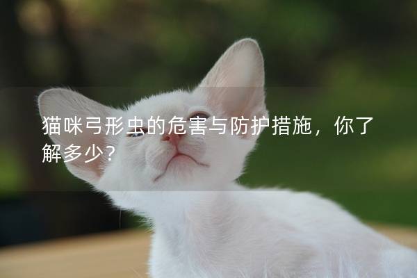 猫咪弓形虫的危害与防护措施，你了解多少？