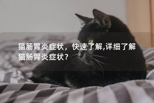 猫肠胃炎症状，快速了解,详细了解猫肠胃炎症状？