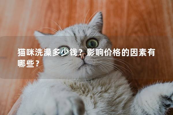 猫咪洗澡多少钱？影响价格的因素有哪些？