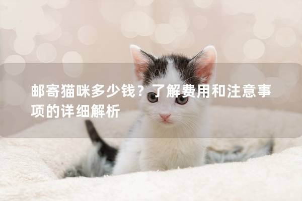 邮寄猫咪多少钱？了解费用和注意事项的详细解析