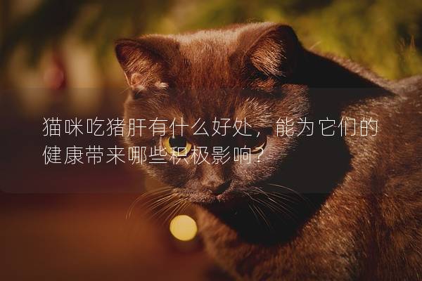 猫咪吃猪肝有什么好处，能为它们的健康带来哪些积极影响？