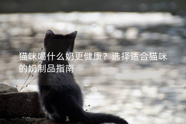 猫咪喝什么奶更健康？选择适合猫咪的奶制品指南