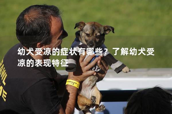 幼犬受凉的症状有哪些？了解幼犬受凉的表现特征