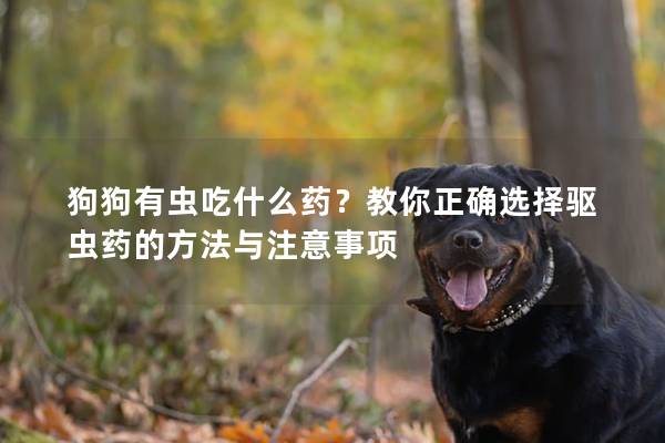 狗狗有虫吃什么药？教你正确选择驱虫药的方法与注意事项