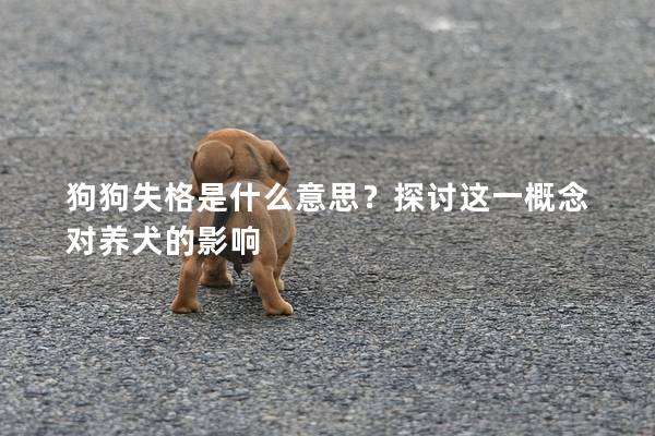 狗狗失格是什么意思？探讨这一概念对养犬的影响