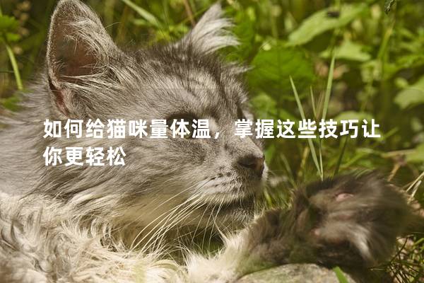 如何给猫咪量体温，掌握这些技巧让你更轻松