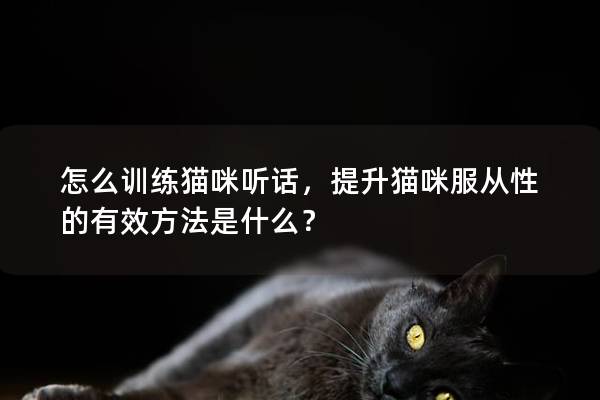 怎么训练猫咪听话，提升猫咪服从性的有效方法是什么？