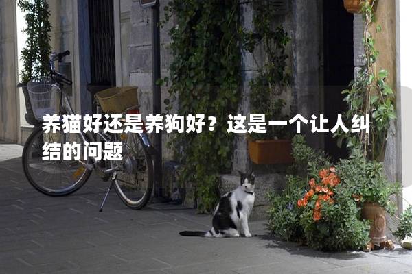 养猫好还是养狗好？这是一个让人纠结的问题