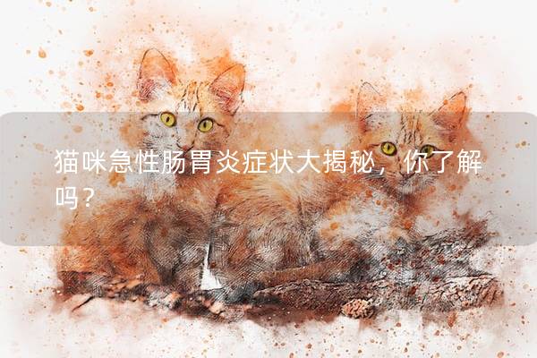 猫咪急性肠胃炎症状大揭秘，你了解吗？