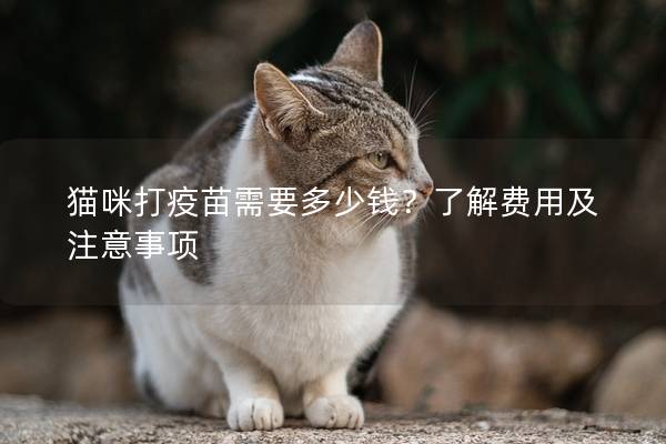 猫咪打疫苗需要多少钱？了解费用及注意事项