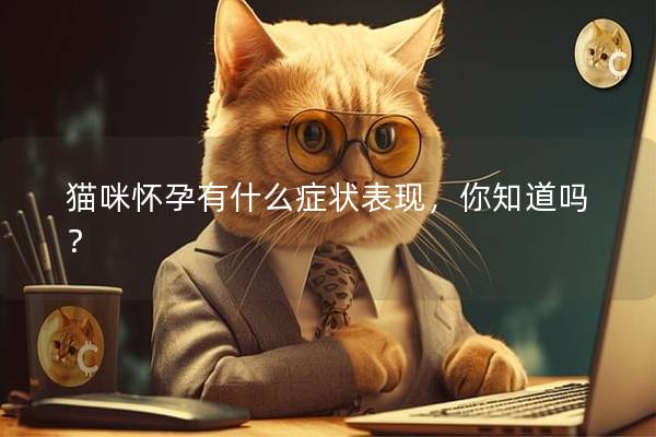 猫咪怀孕有什么症状表现，你知道吗？