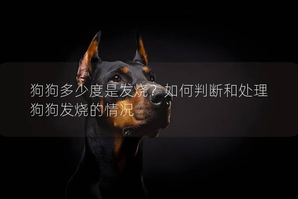 狗狗多少度是发烧？如何判断和处理狗狗发烧的情况