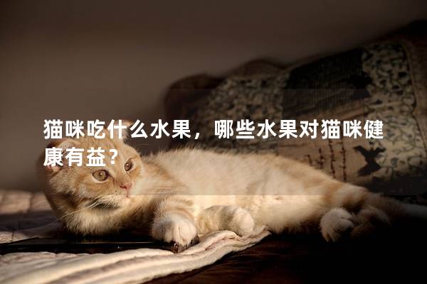 猫咪吃什么水果，哪些水果对猫咪健康有益？