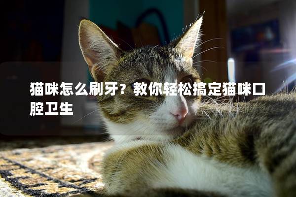 猫咪怎么刷牙？教你轻松搞定猫咪口腔卫生