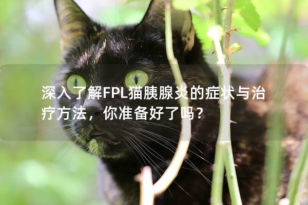 深入了解FPL猫胰腺炎的症状与治疗方法，你准备好了吗？