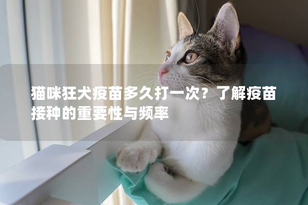 猫咪狂犬疫苗多久打一次？了解疫苗接种的重要性与频率