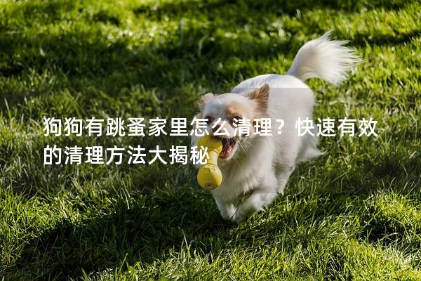 狗狗有跳蚤家里怎么清理？快速有效的清理方法大揭秘