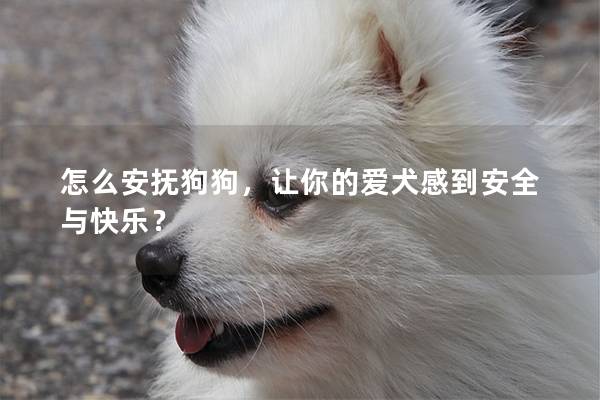 怎么安抚狗狗，让你的爱犬感到安全与快乐？