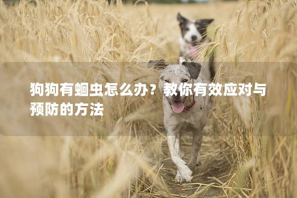 狗狗有蛔虫怎么办？教你有效应对与预防的方法