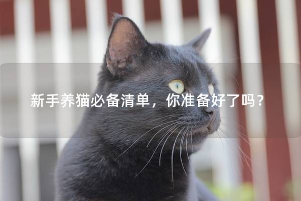 新手养猫必备清单，你准备好了吗？