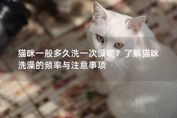 猫咪一般多久洗一次澡呢？了解猫咪洗澡的频率与注意事项