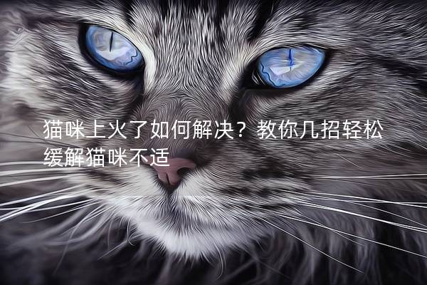 猫咪上火了如何解决？教你几招轻松缓解猫咪不适